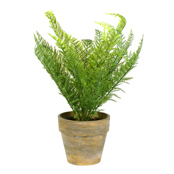 Primrue 19'' Faux Fern Plant in Pot Wayfair